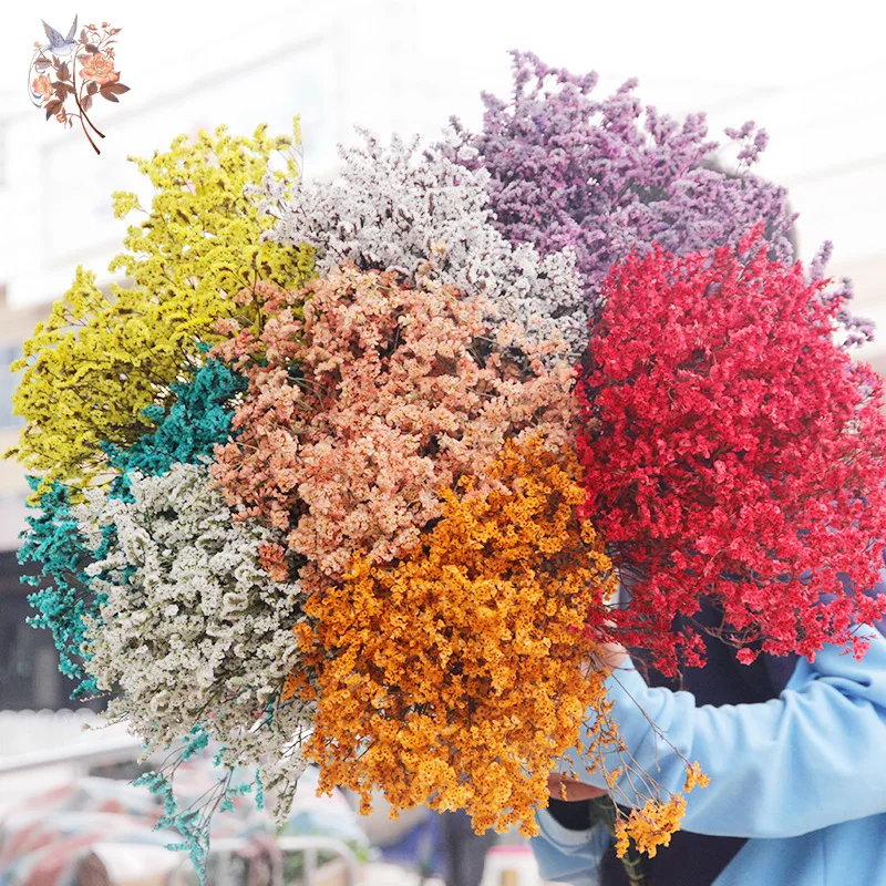 Dried Flower Bulk - Dried Flowers Natural Crystal Grass Bouquets