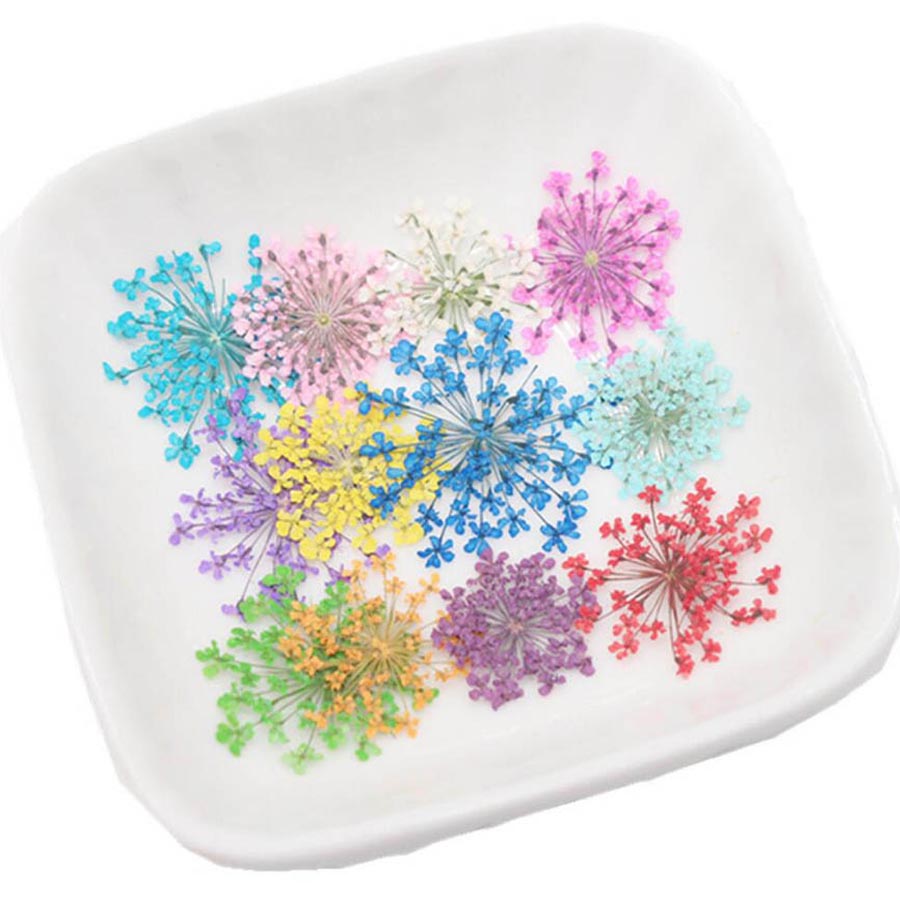 60pcs Pressed Dried 15-25mm Am - Dried Flower Bulk recension och pris