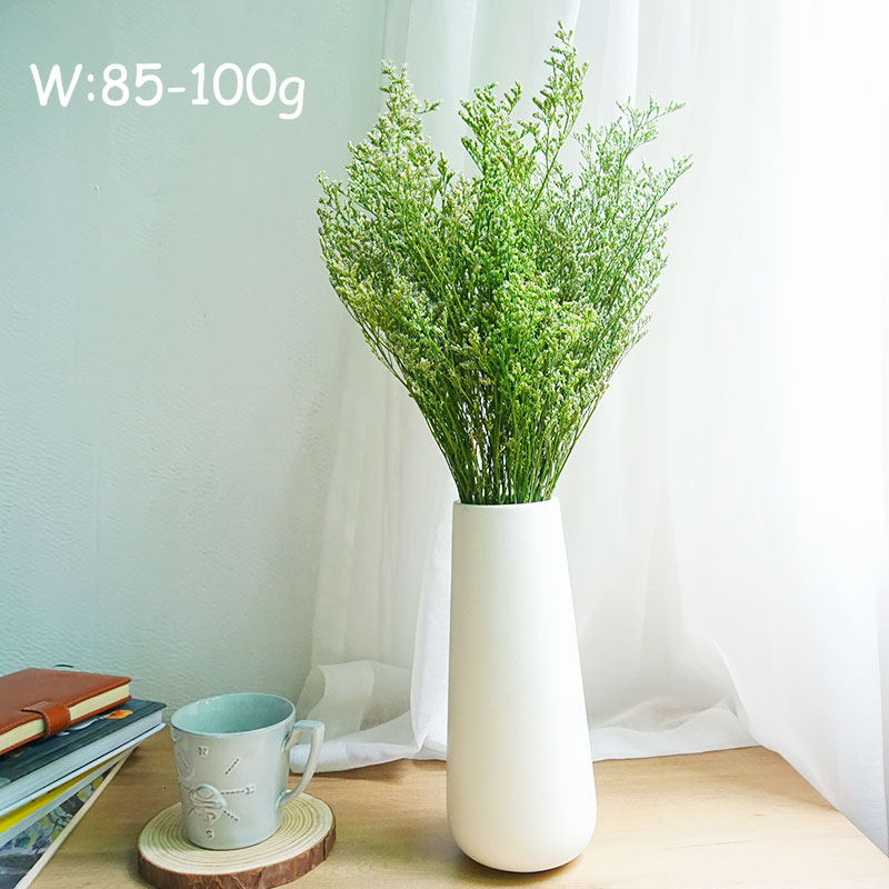 70g/Preserved Valentine's Gras - Dried Flower Bulk recension och pris