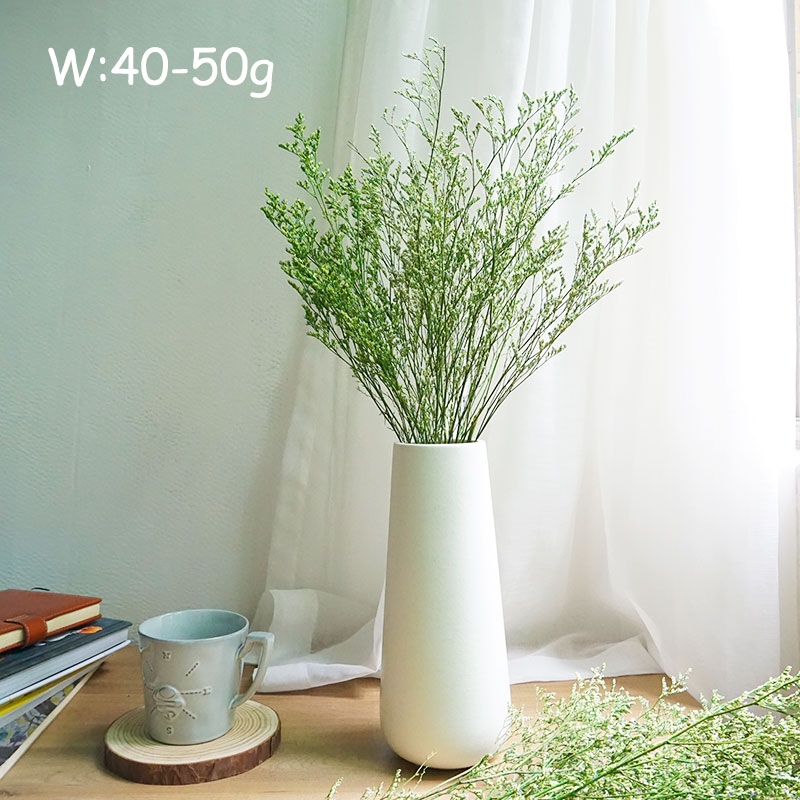 70g/Preserved Valentine's Gras - Dried Flower Bulk recension och pris