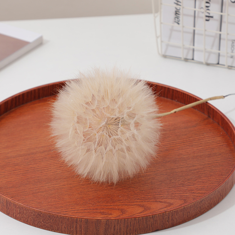Preserved Dandelion DIY Epoxy  - Crafting Resin recension och pris