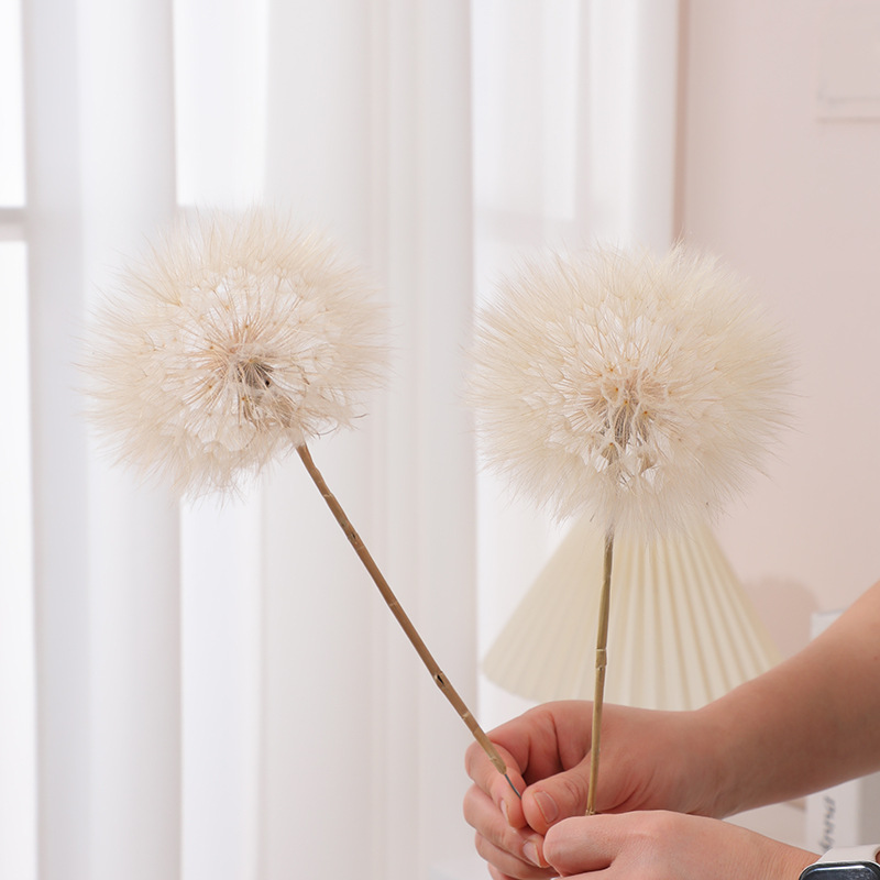 Preserved Dandelion DIY Epoxy  - Crafting Resin recension och pris